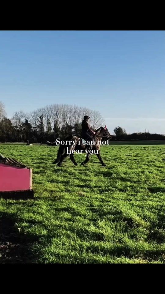 TikTok video thumbnail by kellies_equestrian