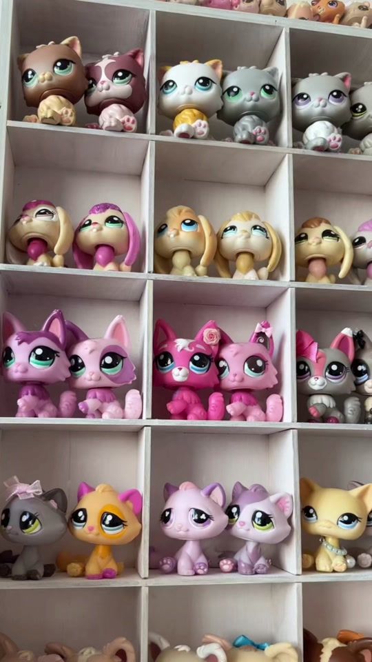 TikTok video thumbnail by vaniapetshops