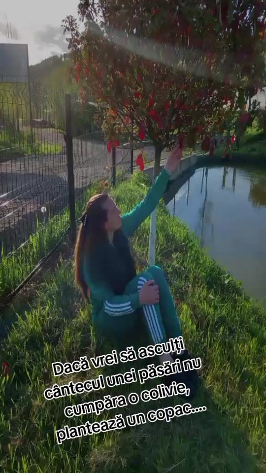 TikTok video thumbnail by _vio10vio