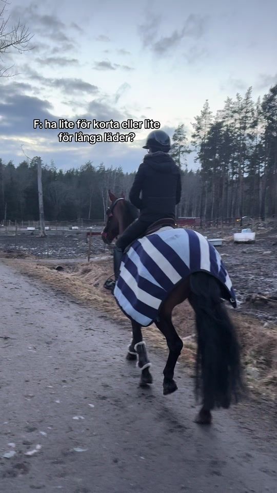 TikTok video thumbnail by linneaml.equi