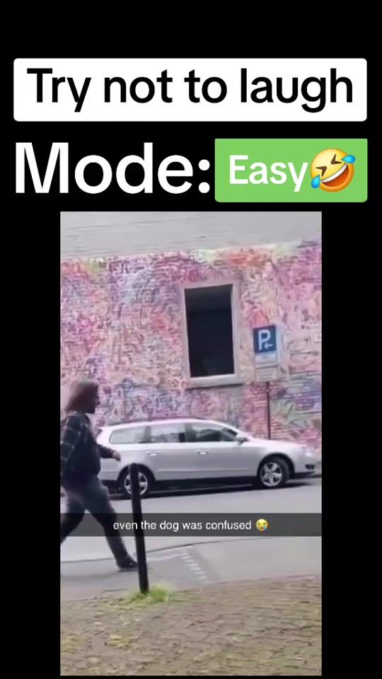 TikTok video thumbnail by dailymemes111