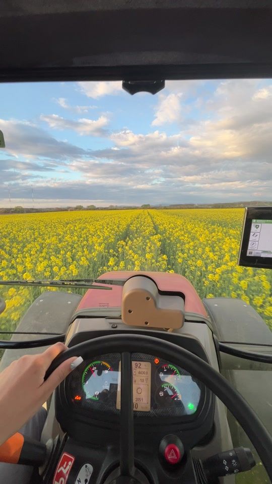 TikTok video thumbnail by deni.agro