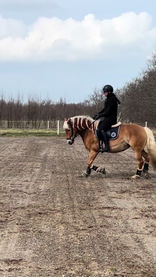 TikTok video thumbnail by we._.equestrian