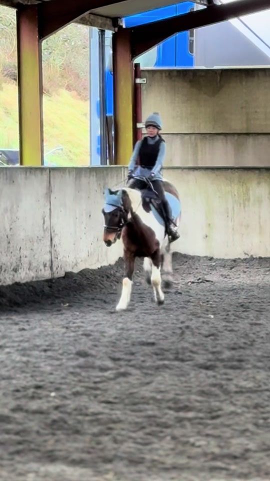 TikTok video thumbnail by xthat.equestrianx