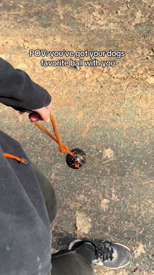TikTok video thumbnail by nonstopdogwear