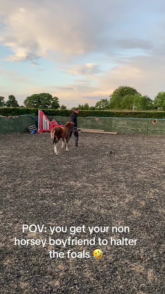 TikTok video thumbnail by danwoodstud