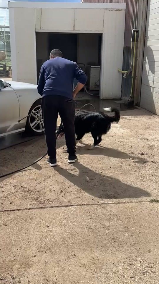 TikTok video thumbnail by vesko_veskov67