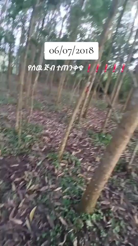TikTok video thumbnail by dagilalaaa