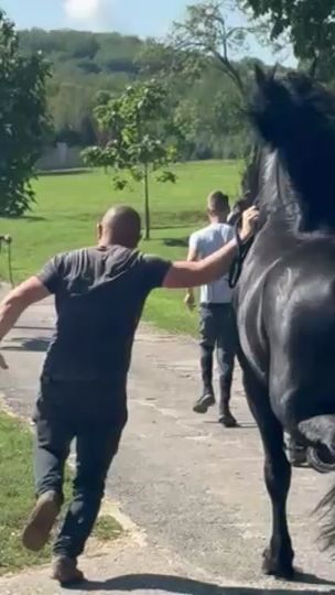TikTok video thumbnail by rodrijpfhdr