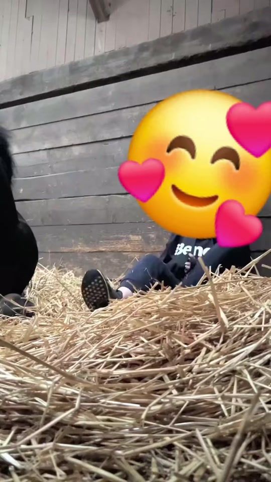 TikTok video thumbnail by shurok36