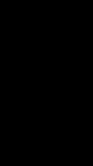 TikTok video thumbnail by lilioffthewall