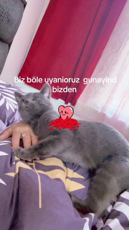 TikTok video thumbnail by ........kiymet