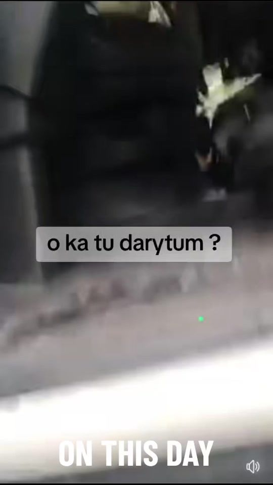 TikTok video thumbnail by tratesys