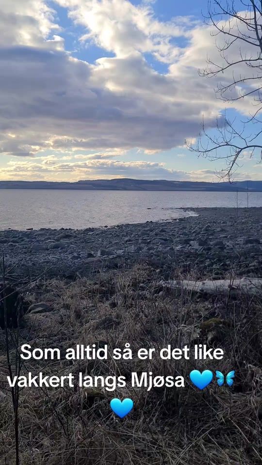 TikTok video thumbnail by skogsteollet