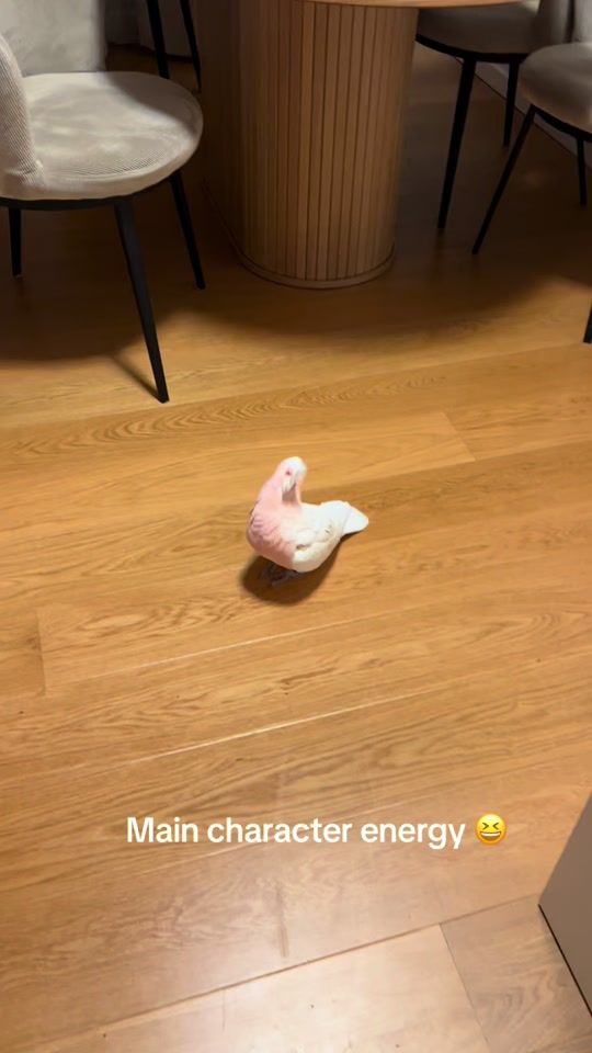 TikTok video thumbnail by fatiimabakes