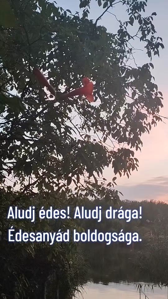 TikTok video thumbnail by ovitv01