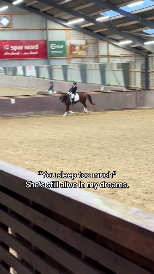 TikTok video thumbnail by e.iequestrian