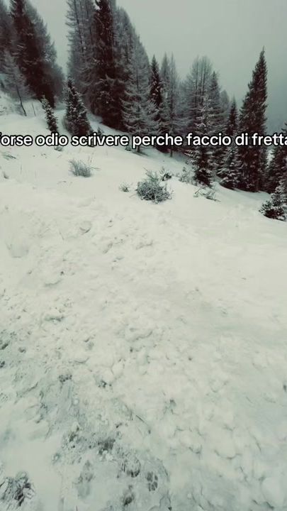 TikTok video thumbnail by _patriciafabian_
