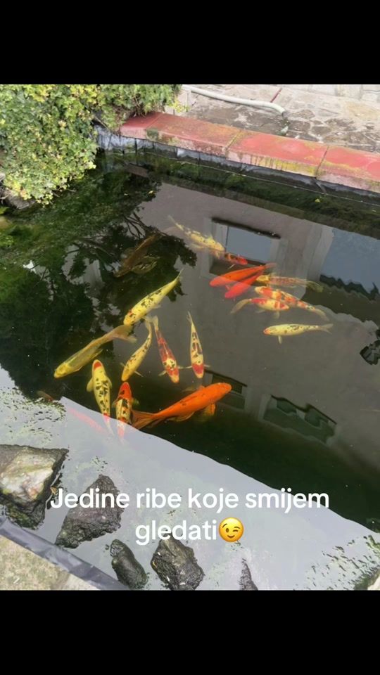 TikTok video thumbnail by kreso006