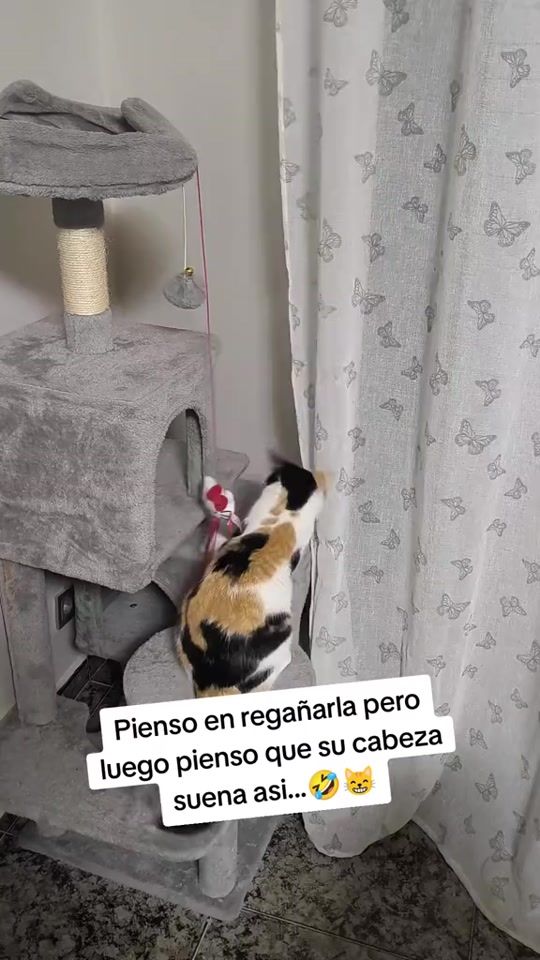 TikTok video thumbnail by manumorao