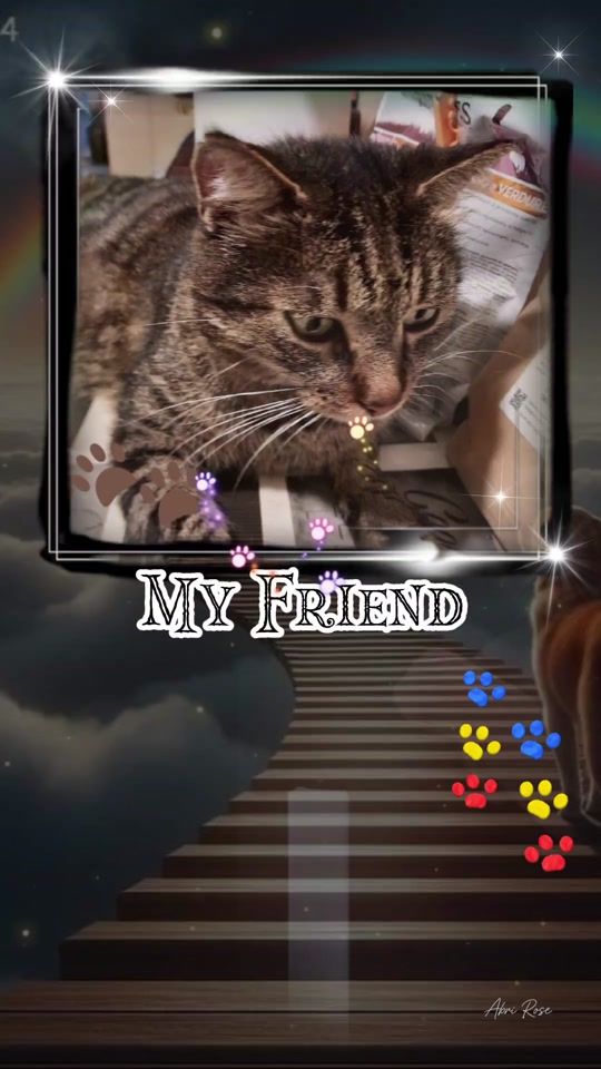TikTok video thumbnail by gracezanzibar