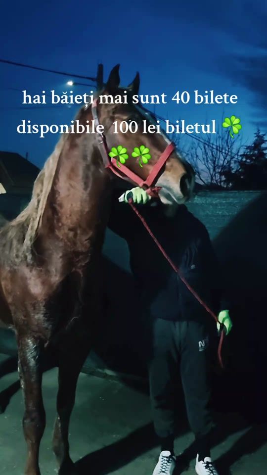 TikTok video thumbnail by adrianremon