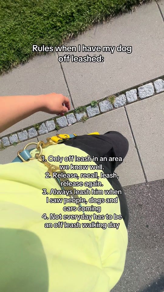 TikTok video thumbnail by paceandbeyond