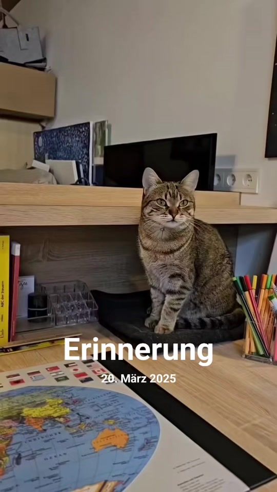 TikTok video thumbnail by _catscrat_
