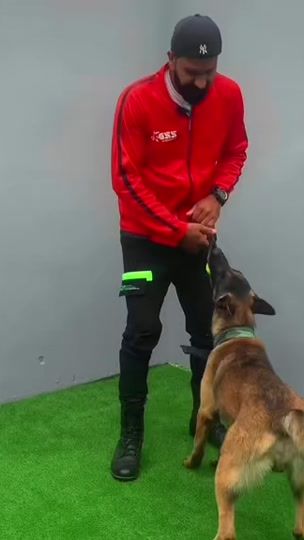 TikTok video thumbnail by petssecret7