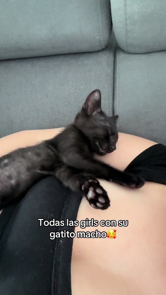 TikTok video thumbnail by soytakagatito