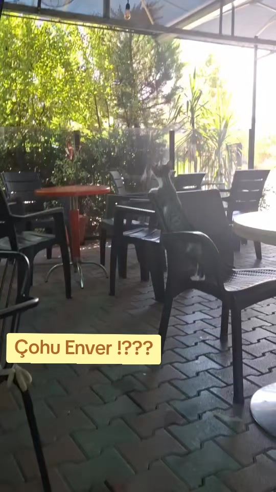 TikTok video thumbnail by i_u_videos