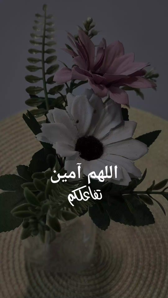 TikTok video thumbnail by abu.saer5