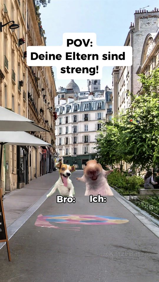 TikTok video thumbnail by katze_batze