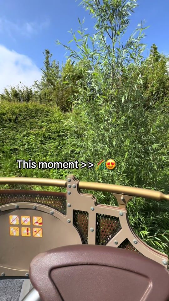 TikTok video thumbnail by arn_4007