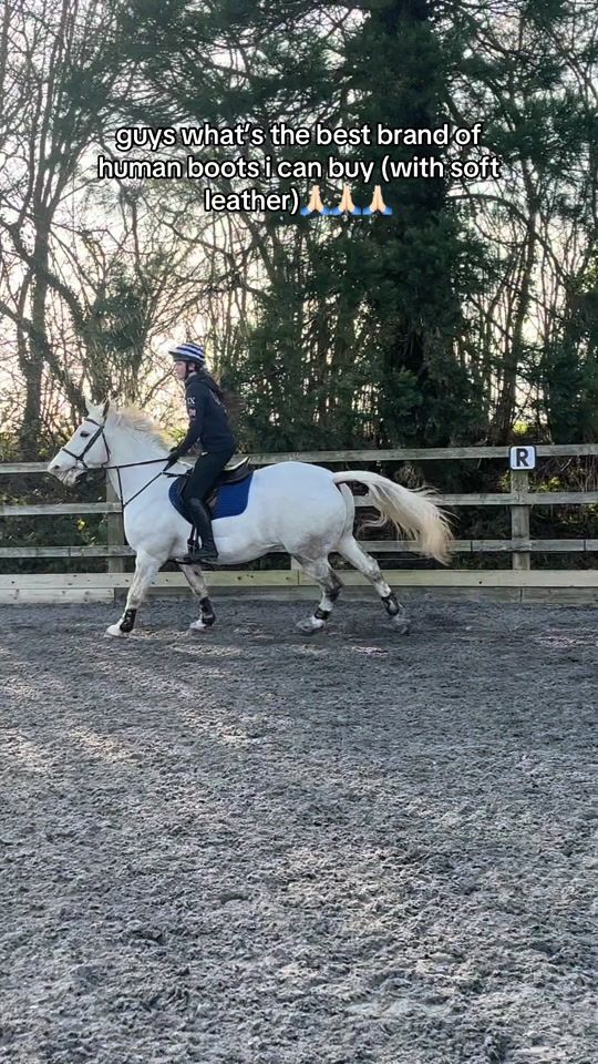 TikTok video thumbnail by eventingmymare