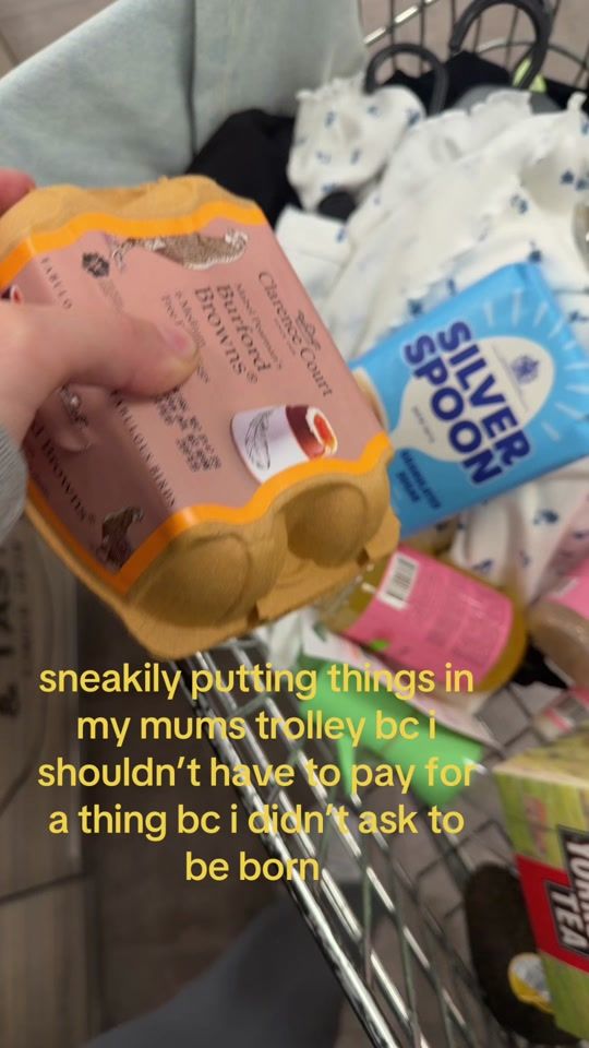 TikTok video thumbnail by indiatheexplorer_