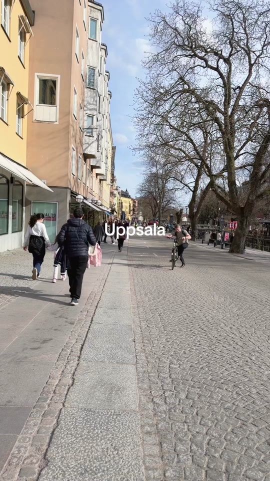 TikTok video thumbnail by lamisalsamman2
