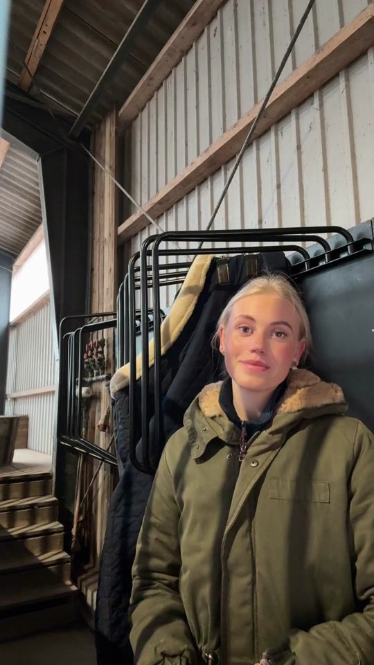 TikTok video thumbnail by showjumpermolly