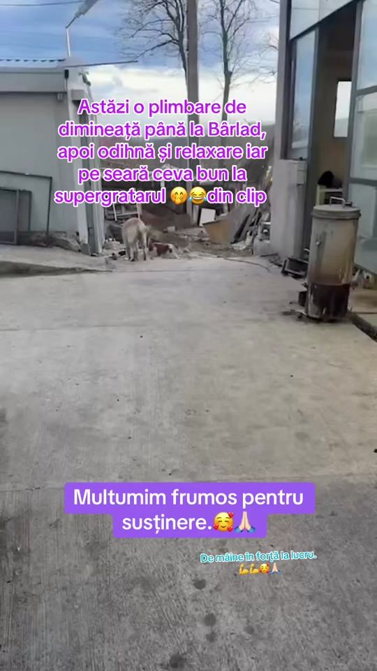 TikTok video thumbnail by grataremariussimada