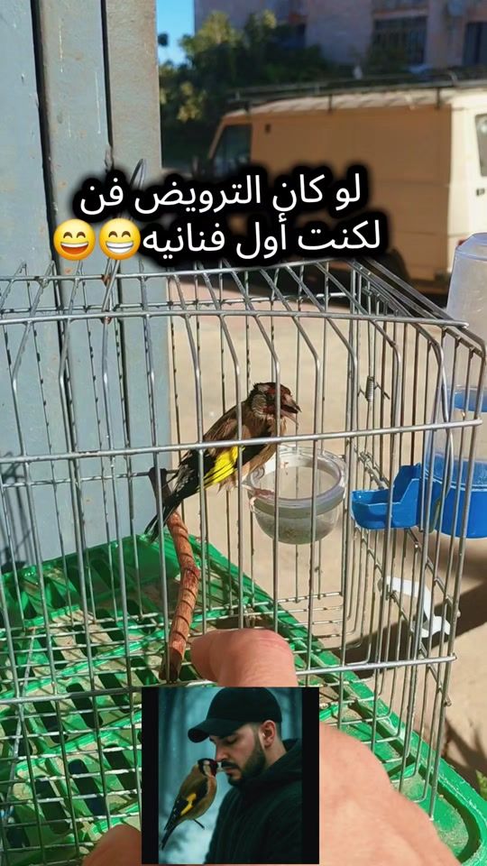TikTok video thumbnail by lotfi1312