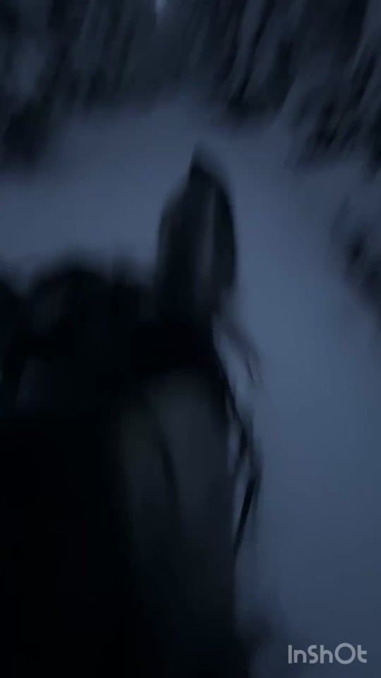 TikTok video thumbnail by saragundersene1