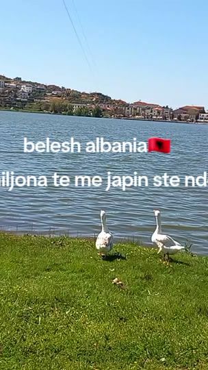 TikTok video thumbnail by s.clas00