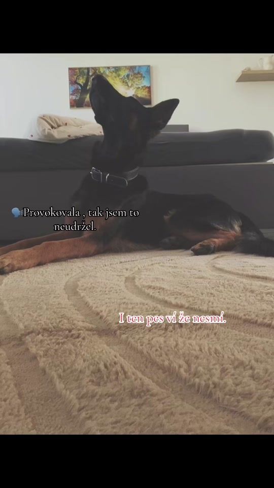 TikTok video thumbnail by rex4619