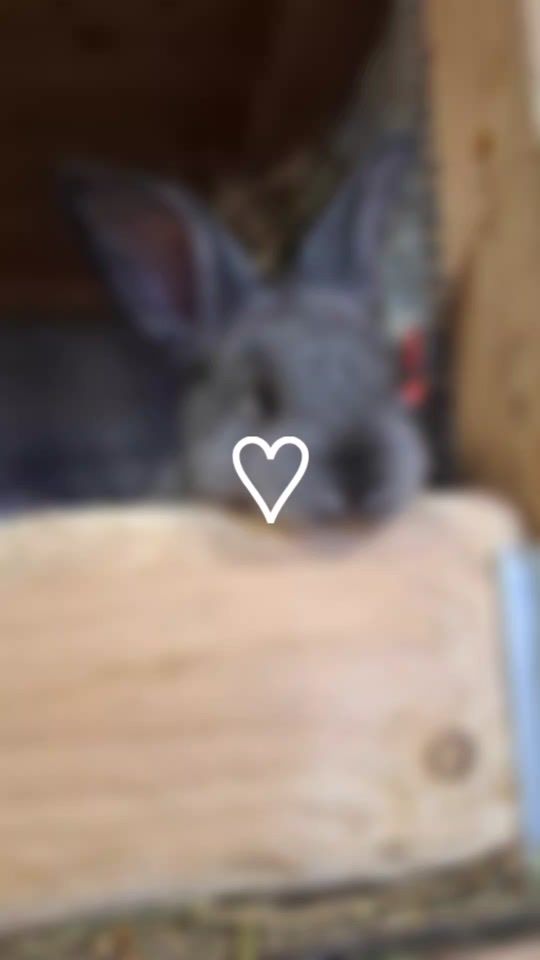 TikTok video thumbnail by best_cousinen_forever0