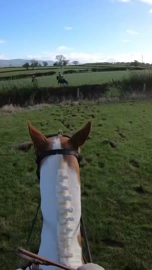 TikTok video thumbnail by florrie..eq_