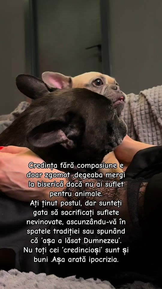 TikTok video thumbnail by anamariabircianu