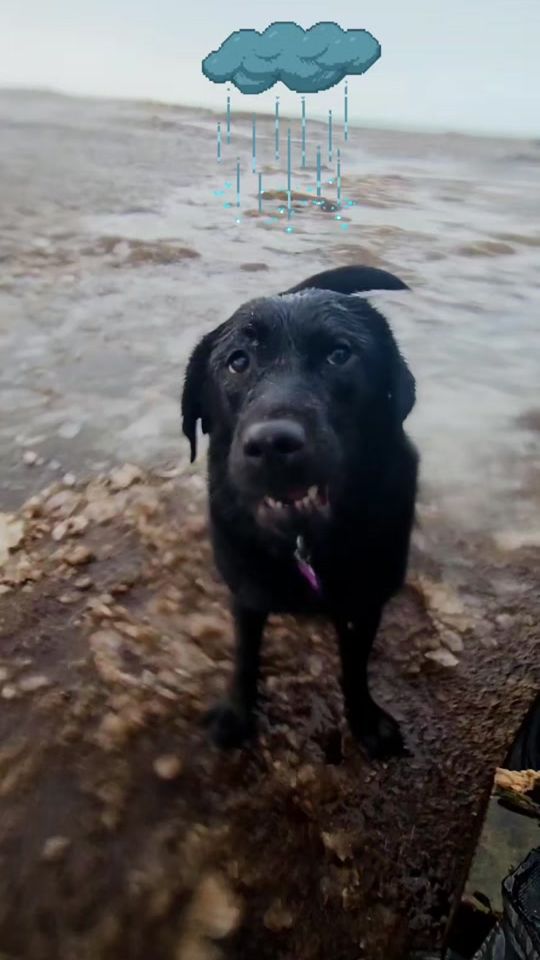 TikTok video thumbnail by mangosopi