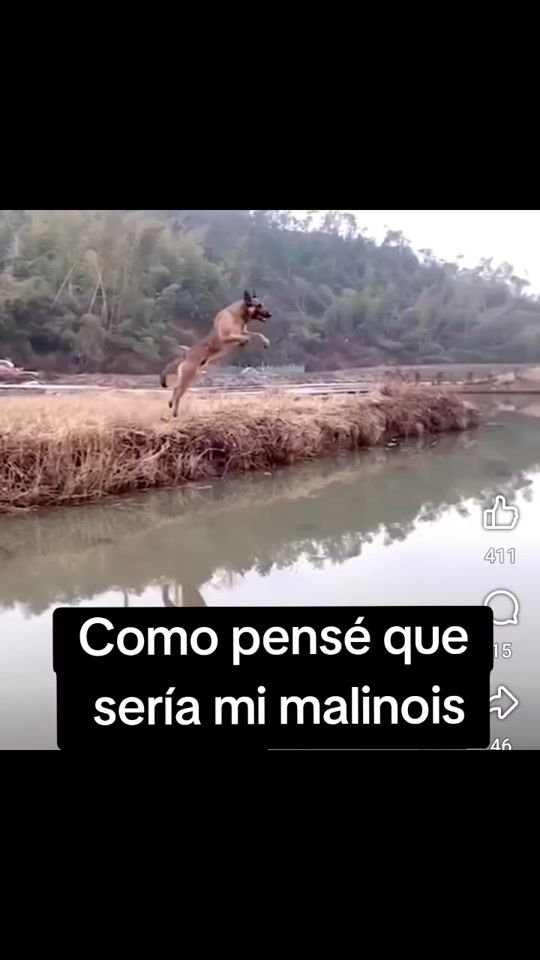 TikTok video thumbnail by velamalinois