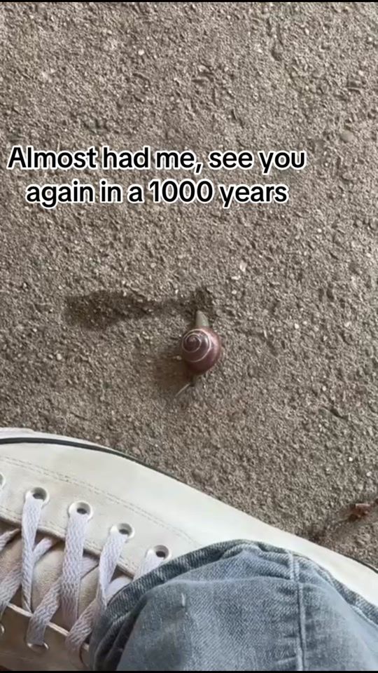 TikTok video thumbnail by jasmijn_cool_