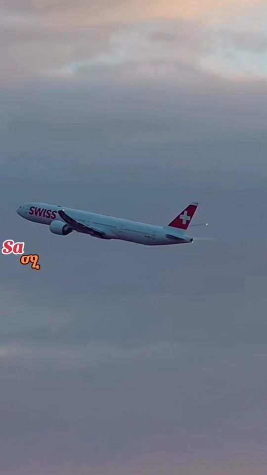 TikTok video thumbnail by sa61033